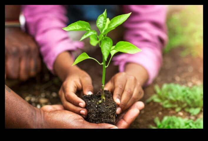 Rădăcinile rezistenței Modul în care îngrijirea expertă a grădinii vă poate ajuta plantele să prospere
