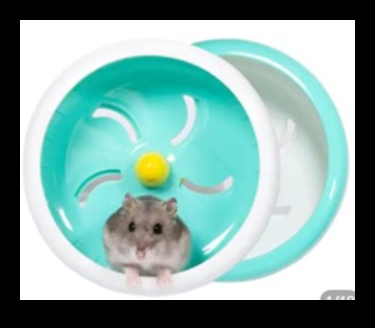 Siguranța roții de hamster a continuat, asigurând o rotație lină și silențioasă